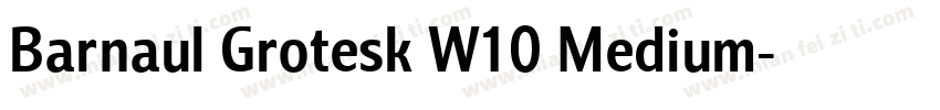 Barnaul Grotesk W10 Medium字体转换